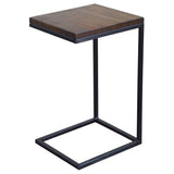 Levin Reclaimed End Table
