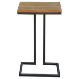 Crichton Reclaimed End Table