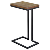 Crichton Reclaimed End Table