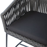 Catius Iron Chair