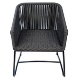 Catius Iron Chair