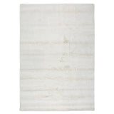 Eggers Tufted Rug 8x10